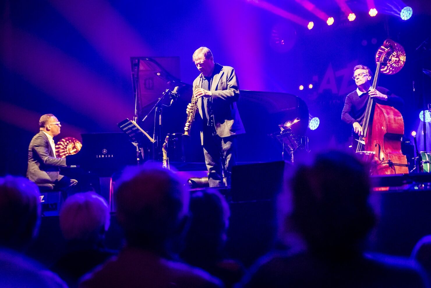 Gonzalo Rubalcaba, Chris Potter et Larry Grenadier - Jazz sous les pommiers @ Coutances (photo : Didier Eudes)