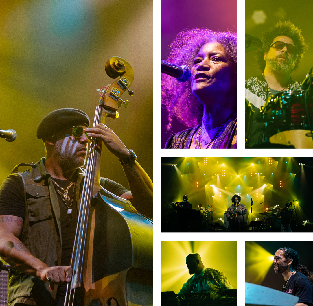Jazz à Vienne (FR) - Arnaud a vu !